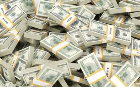 বিদেশি ঋণ গ্রহণ-পরিশোধ প্রায় সমান: অর্থনীতিতে চাপের ইঙ্গিত