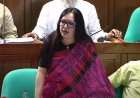 মনোনয়ন না পাওয়ায় বিএনপিকে ধন্যবাদ রুমিন ফারহানার