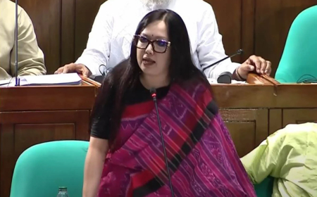 মনোনয়ন না পাওয়ায় বিএনপিকে ধন্যবাদ রুমিন ফারহানার