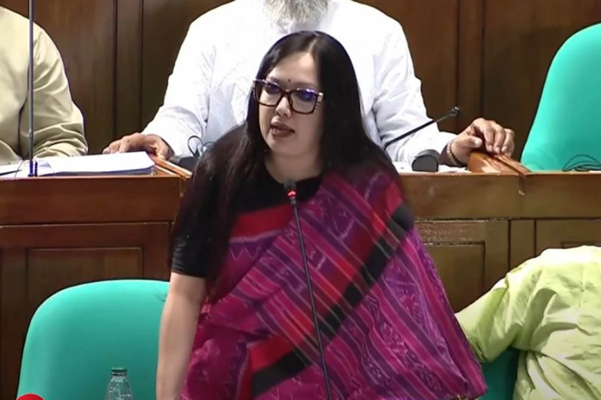 মনোনয়ন না পাওয়ায় বিএনপিকে ধন্যবাদ রুমিন ফারহানার