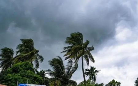 চার দিনজুড়ে ঝড়-বৃষ্টির সতর্কতা