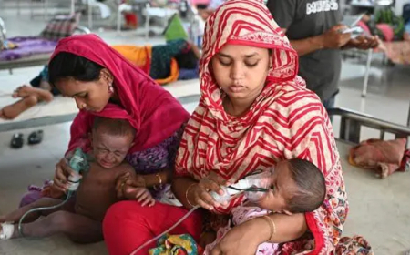 হাম ও উপসর্গ নিয়ে হাসপাতালে ভর্তির ঢল, ঢাকায় বেশি মৃত্যু